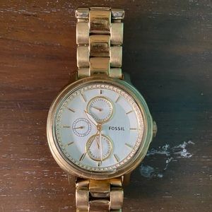 Fossil Watch